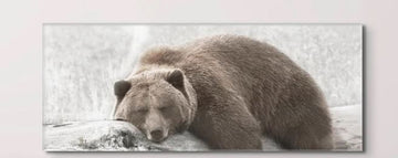 BROWN GRIZZLY BEAR SLEEPING ON A LOG FRAMED PRINT ON CANVAS - 55" X 24" X 1.5"