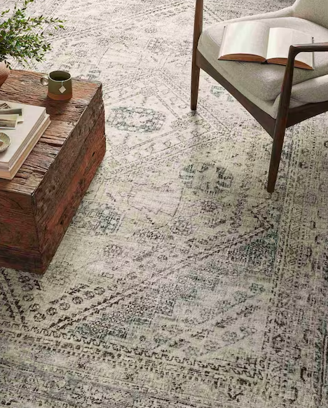 Nourison Home Jurado Oriental Area Rug