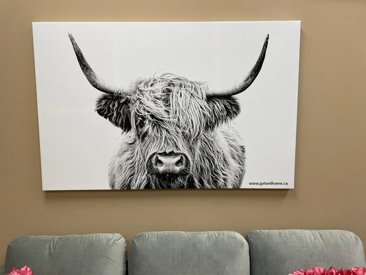 Highland Cow Canvas , Scottish Highland Cattle, Hight Quality Ready to Hang