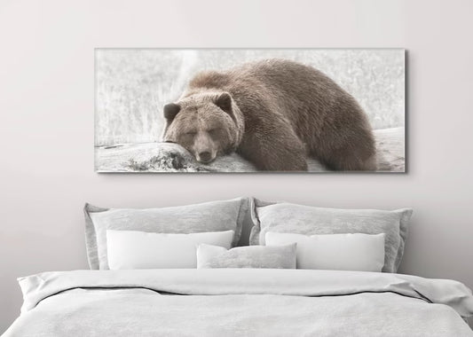Brown Grizzly Bear Sleeping Peacefully On A Log, artwork on stretched canvas