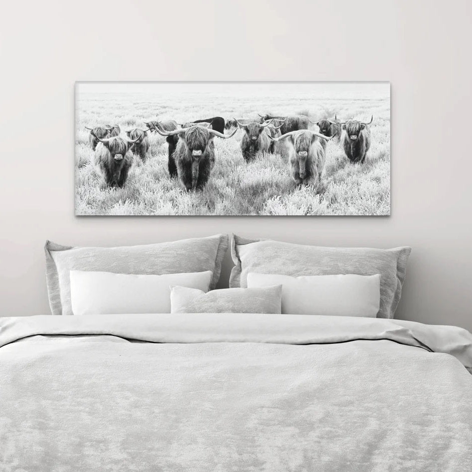 Herd Of Highland Cows On Canvas