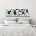 Herd Of Highland Cows On Canvas