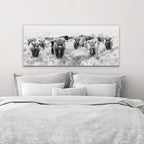 Herd Of Highland Cows On Canvas
