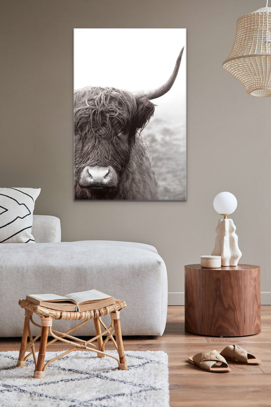 SCOTTISH HIGHLAND COW FRAMED PRINT ON CANVAS - BLACK & WHITE 48" x 32" x 1.5"