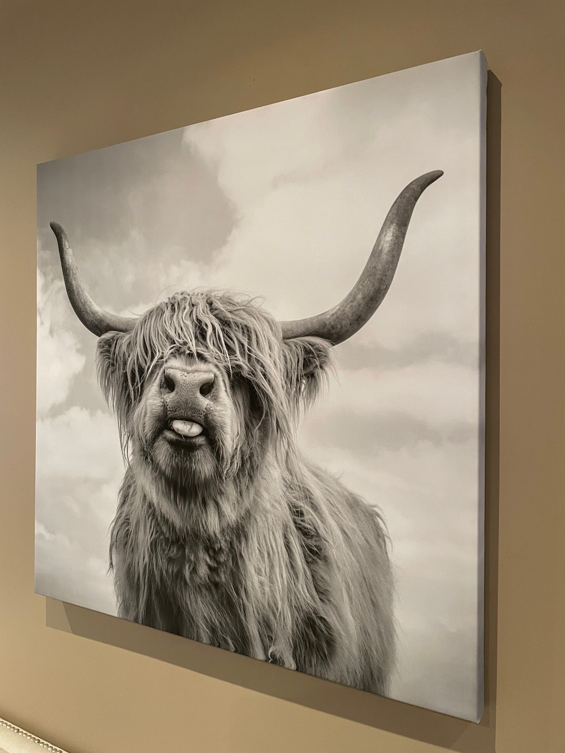 Wall Art - Highland Cow - GetSetHome Store