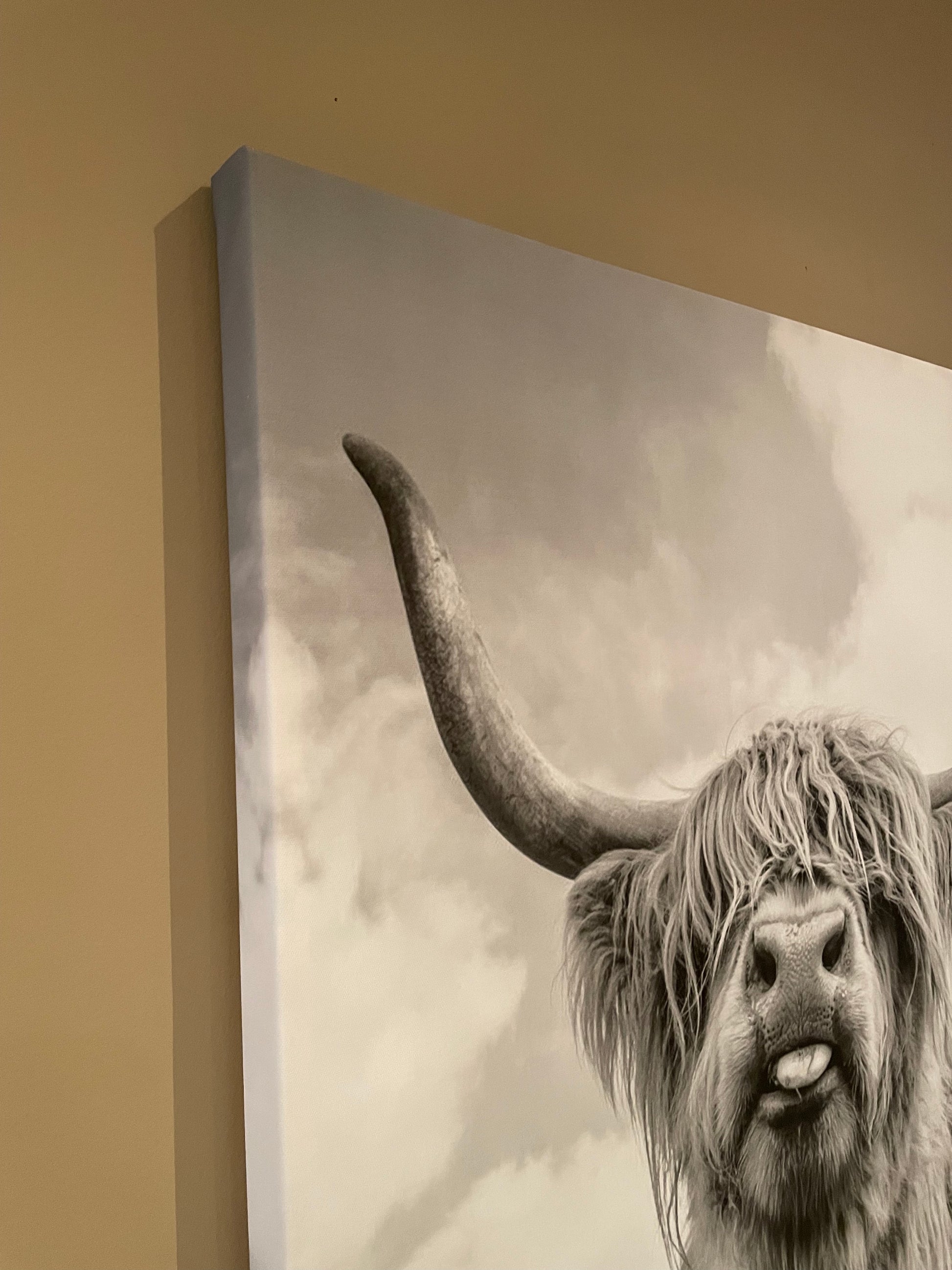 Wall Art - Highland Cow - GetSetHome Store